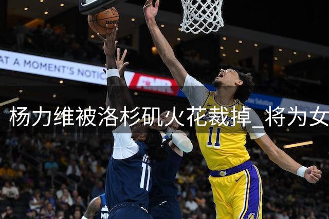 杨力维被洛杉矶火花裁掉 将为女篮争奥运门票